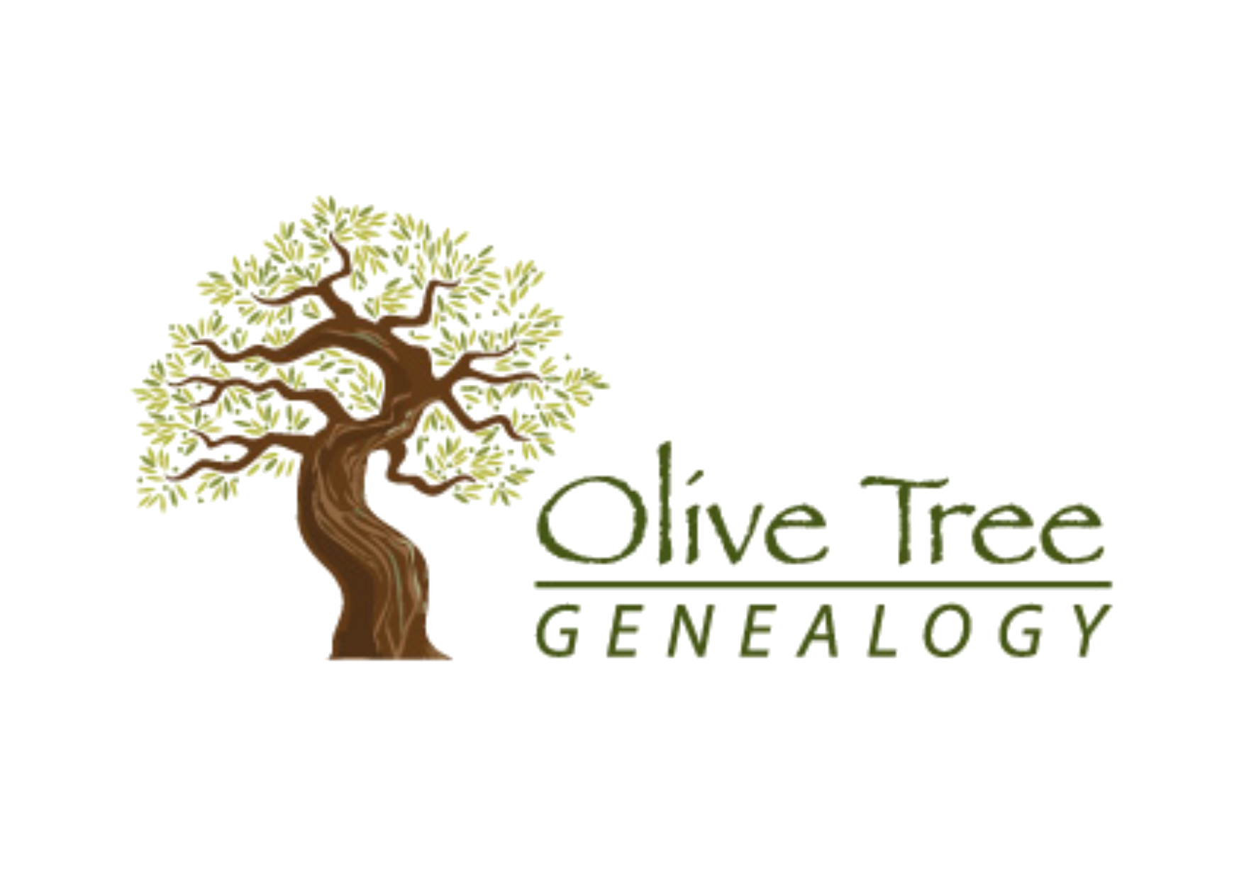 Olive Tree Genealogy