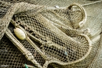 The Fishing Trade